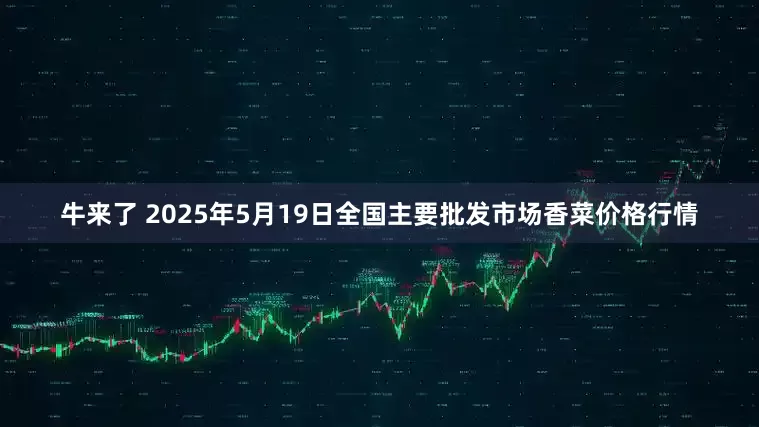 牛来了 2025年5月19日全国主要批发市场香菜价格行情