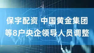 保宇配资 中国黄金集团等8户央企领导人员调整